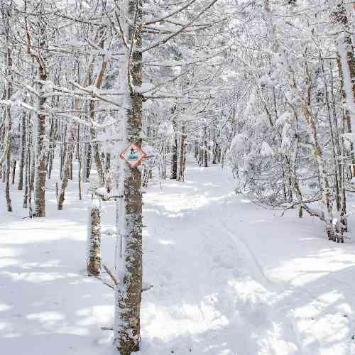  من موندم و خاطراتت انگار خورشید توو فاز ماهه